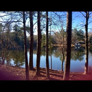 Meet your Posher, Peggy